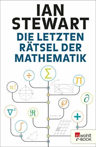 Die letzten R&auml;tsel der Mathematik