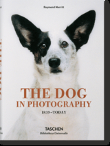The Dog in Photography 1839&ndash;Today - Raymond Merritt