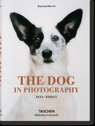 The Dog in Photography 1839–Today