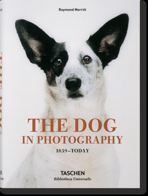 The Dog in Photography 1839&ndash;Today - Raymond Merritt