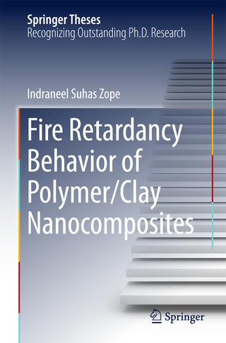 Fire Retardancy Behavior of Polymer/Clay Nanocomposites