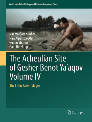 The Acheulian Site of Gesher Benot Ya‘aqov Volume IV