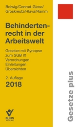 Behindertenrecht in der Arbeitswelt - Nils Bolwig, Maren Conrad-Giese, Henning Groskreutz, Daniel Hlava, Diana Ramm