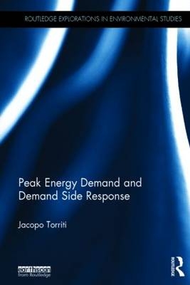 Peak Energy Demand and Demand Side Response -  Jacopo Torriti