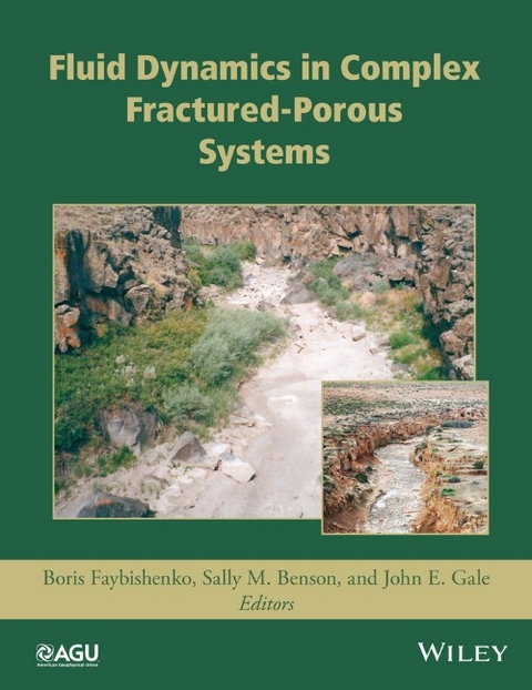 Fluid Dynamics in Complex Fractured-Porous Systems - 