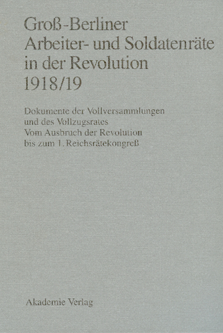 Groß-Berliner Arbeiter- und Soldatenräte in der Revolution 1918/19