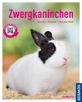 Zwergkaninchen
