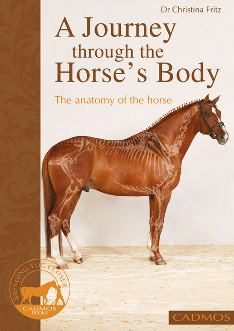 journey through the horse's body -  Dr. Christina Fritz