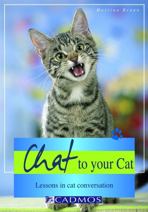 Chat to your Cat - Martina Braun