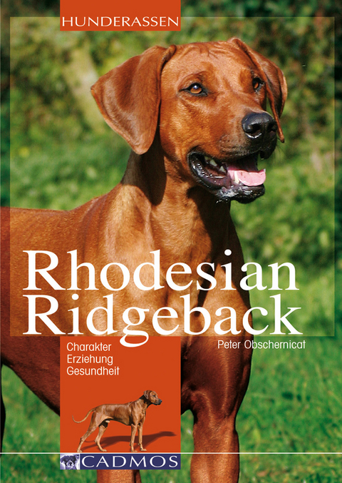 Rhodesian Ridgeback - Peter Obschernicat