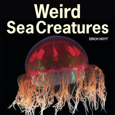 Weird Sea Creatures -  Erich Hoyt
