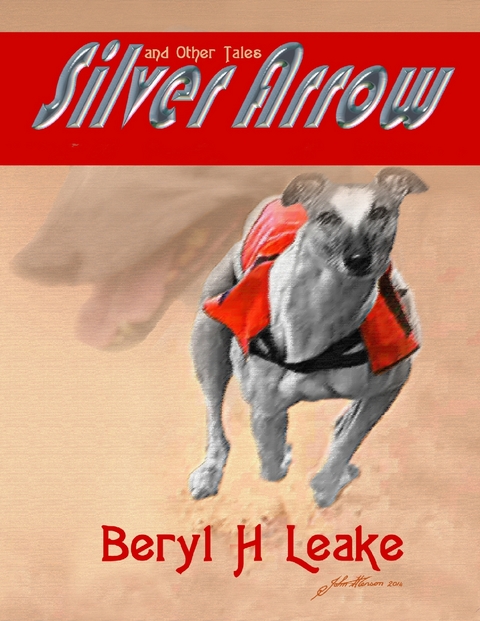 Silver Arrow and Other Tales -  Beryl H Leake