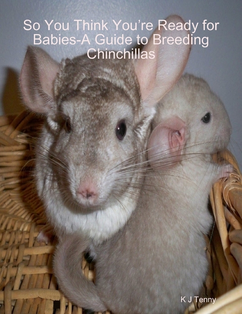 So You Think You're Ready for Babies - A Guide to Breeding Chinchillas -  K J Tenny