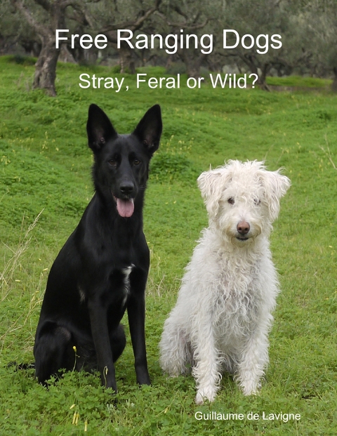 Free Ranging Dogs - Stray, Feral or Wild? -  Guillaume de Lavigne