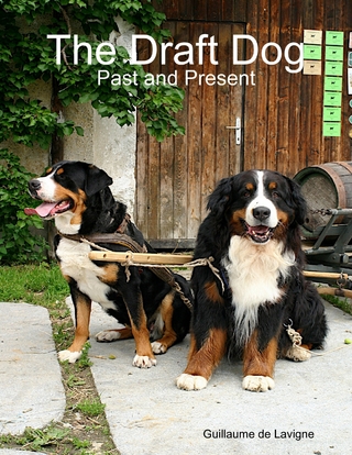 Draft Dog - Past and Present