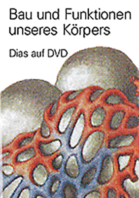 Bau und Funktionen unseres Körpers / Bau und Funktionen unseres Körpers, Dias auf DVD