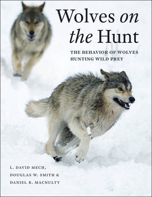 Wolves on the Hunt -  Daniel R. MacNulty,  L. David Mech,  Douglas W. Smith