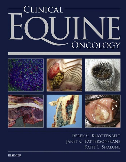 Clinical Equine Oncology -  Derek C. Knottenbelt