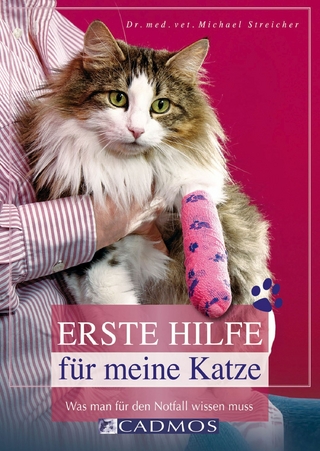 Erste Hilfe für meine Katze