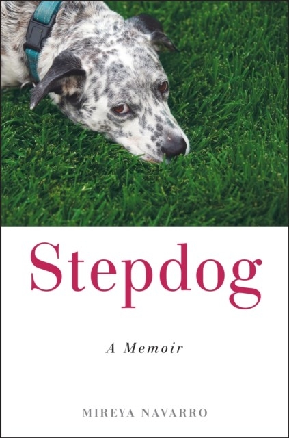 Stepdog -  Mireya Navarro