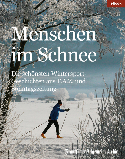 Menschen im Schnee -  Frankfurter Allgemeine Archiv