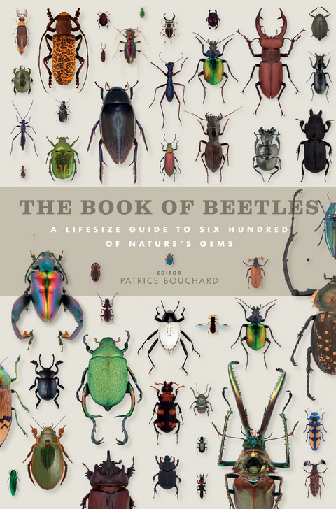 The Book of Beetles - Patrice Bouchard, Yves Bousquet