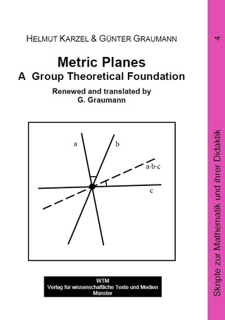 Metric Planes - A Group Theoretical Foundation