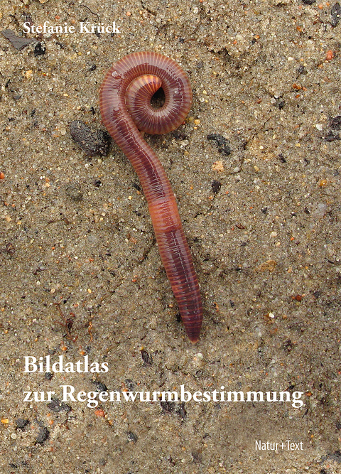 Bildatlas zur Regenwurmbestimmung - Stefanie Krück