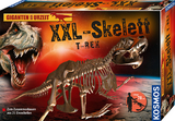 XXL-Skelett Tyrannosaurus Rex