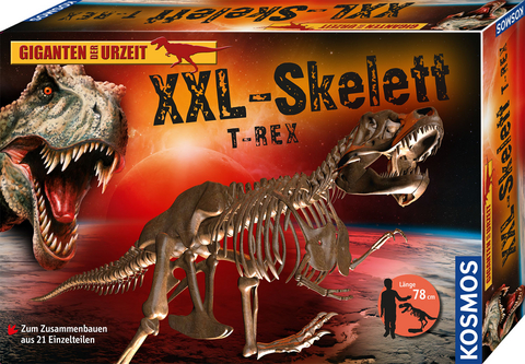 XXL-Skelett Tyrannosaurus Rex