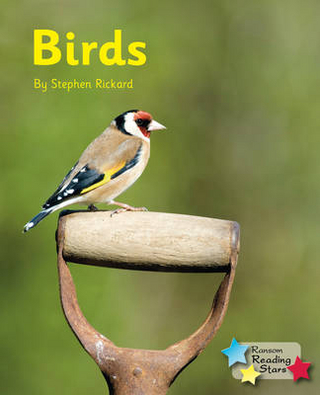 Birds (Ebook)