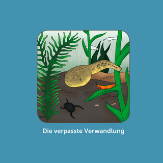 Die verpasste Verwandlung