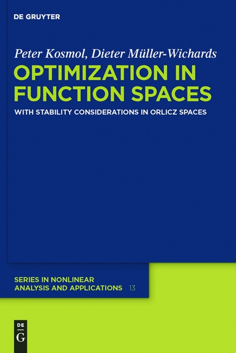 Optimization in Function Spaces - Peter Kosmol, Dieter Müller-Wichards