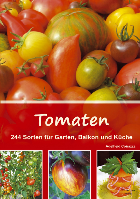 Tomaten - Adelheid Coirazza