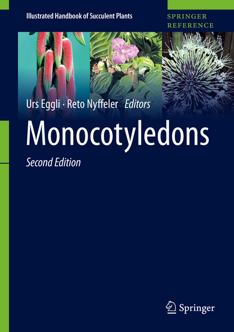 Monocotyledons - 