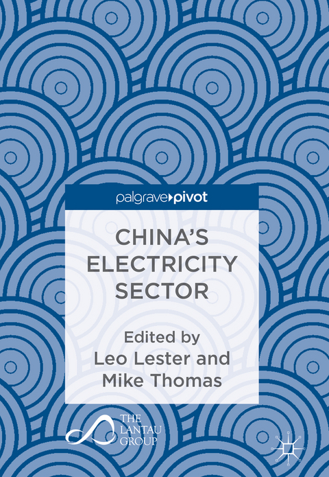 China&rsquo;s Electricity Sector - 