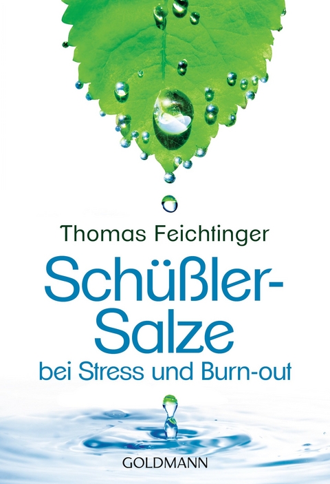 Sch&uuml;&szlig;ler-Salze bei Stress und Burn-out - Thomas Feichtinger