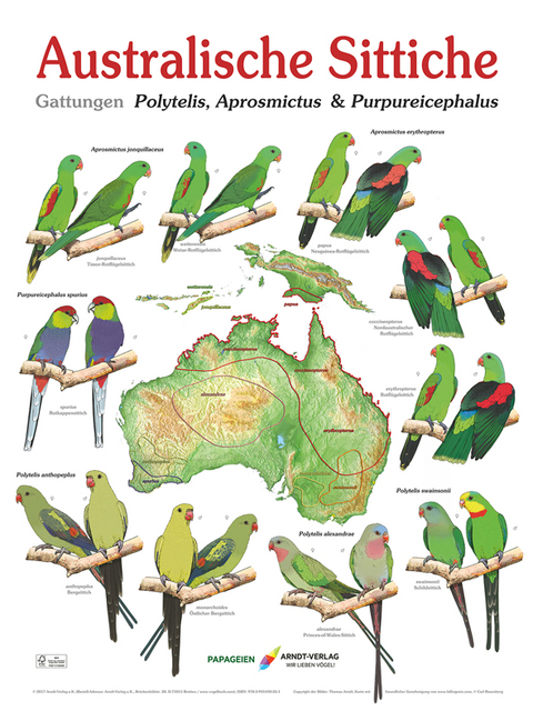 Poster Australische Sittiche 2 - Thomas Arndt