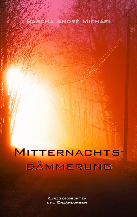 Mitternachtsd&auml;mmerung - Sascha Andr&eacute; Michael