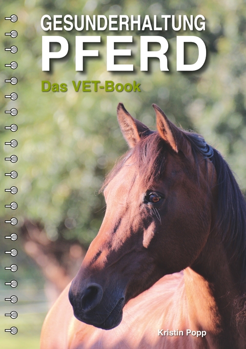Gesunderhaltung Pferd - Kristin Popp