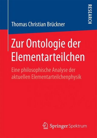 Zur Ontologie der Elementarteilchen