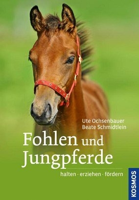 Fohlen und Jungpferde