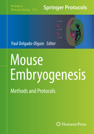 Mouse Embryogenesis