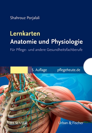 Lernkarten Anatomie und Physiologie