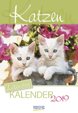 Katzen (2-Wo.) 236719 2019