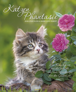 KatzenPhantasie 210019 2019