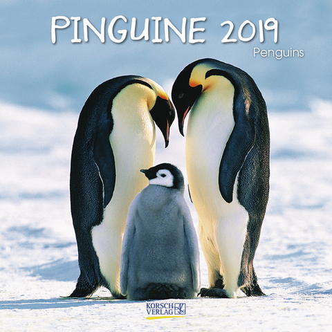 Pinguine (BK) 225319 2019
