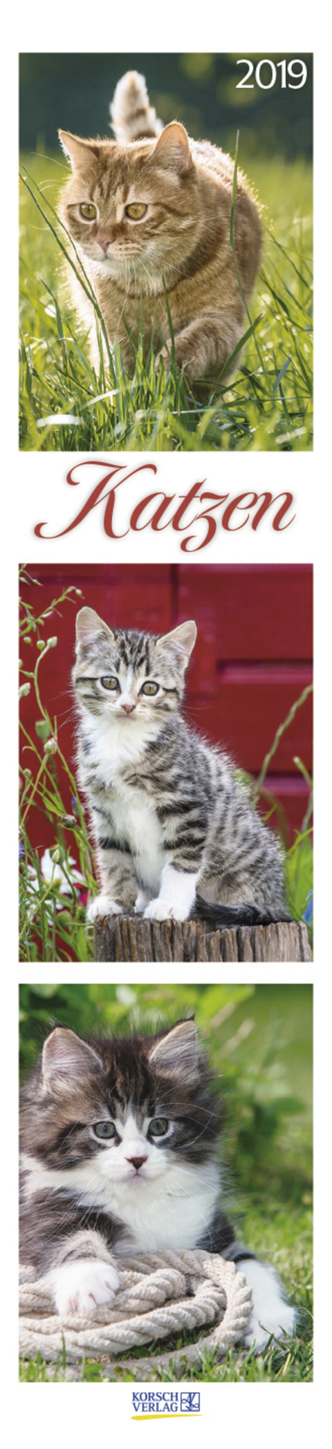 Katzen Langplaner 249919 2019