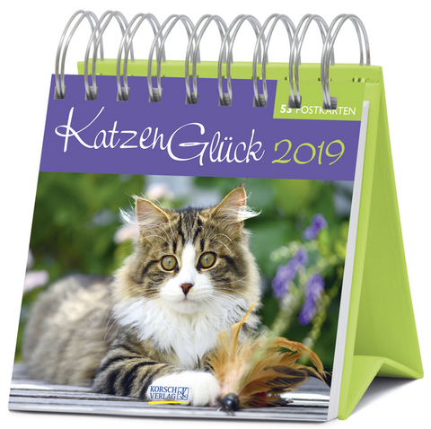 KatzenGl&uuml;ck (PK-Wo) 235619 2019