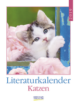 Katzen Literaturkalender 246319 2019
